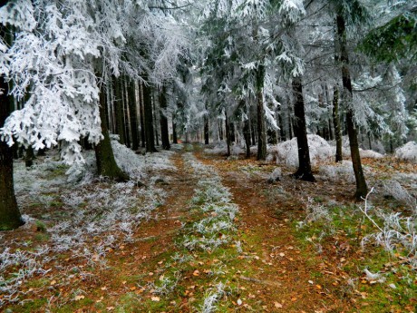 path_from_autumn_to_winter_by_aydra-d4gmt0p